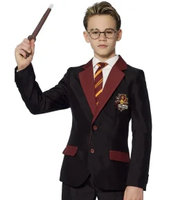 Suitmeister Harry Potter