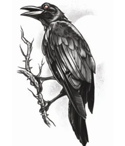 Tatovering Goth Raven